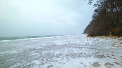 Sea Waves & Wind Sounds for Focus and Study (10 Hours) | Calm Background Noise