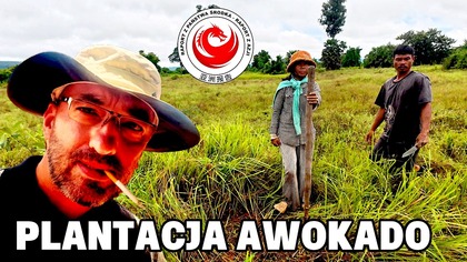 Moja plantacja awokado w Kambodzy