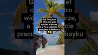 Kiedy home office zmienia się w beach office  #Mem #KobieceInspiracje #PracaZdalna