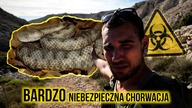 Najbardziej jadowity wąż w Europie! Ten gad może zab*ć  Chorwacja KRK specjal van life 1/2
