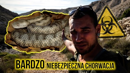 Najbardziej jadowity wąż w Europie! Ten gad może zab*ć  Chorwacja KRK specjal van life 1/2