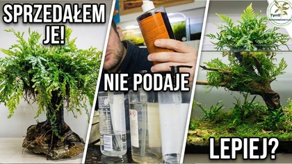 Sprzedałem MOJE DRZEWKO i zmieniam akwarium! (Przemiana 70l)
