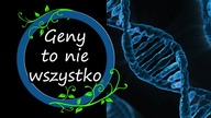 Geny to nie wszystko, czyli o doświadczeniu osobniczym.