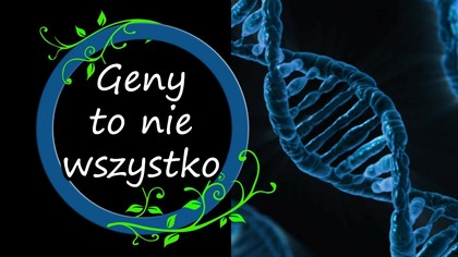 Geny to nie wszystko, czyli o doświadczeniu osobniczym.