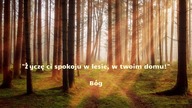 Życzę ci spokoju w lesie, w twoim domu! Bóg