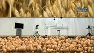 Czlowiek orkiestra czyli Zbigniew Piątkowski w TVRolniczej