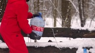 Experiment: Coca-cola vs Mentos Domino Chain Reaction