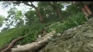 Przetrwać na wyspie z Bearem Gryllsem S02E11