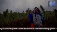 MetrowyTV - Tygodniowa ramówka_bez reklam, bez kitu.