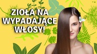 Zioła na wypadające włosy - Odżywiają, pobudzają i stymulują! Musisz je wypróbować!
