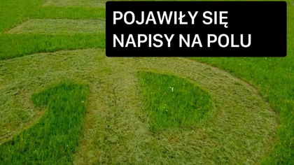 POJAWIŁY SIĘ NAPISY NA POLU / ZOO ŁĄCZNA