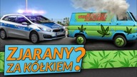 JAZDA SAMOCHODEM PO MARIHUANIE.  THC WE KRWI KIEROWCY | STELIOS ALEWRAS