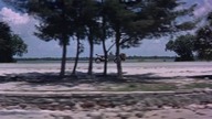 Doścignąć marzenie - Follow That Dream 1962 [720p. BRRip. Xvid-NoNaNo][Lektor PL]