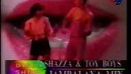 Shazza & Toy Boy - Jambalaja Mix