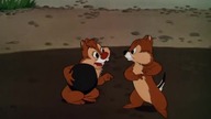 Kaczor Donald - Wszystko w skorupce