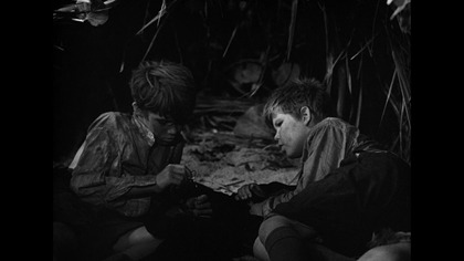 Lord. of. the. Flies. Władca. much. 1963. Lektor.pl