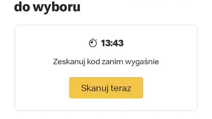 Mc Shaker Fries Papryka - testujemy! Kupuję, żebyście Wy nie musieli xd Frytki z McDonalds za 10 zł