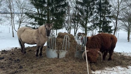 Skąd pieniądze na inwestycje?