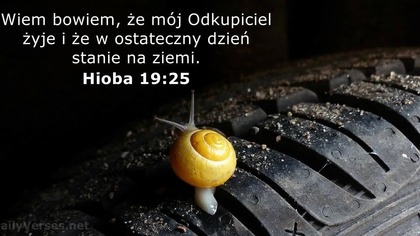 Bogdan Pieczyrak - Nie licząc dni