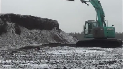 Taka tam huśtawka