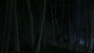 Relic Hunter/Łowcy Skarb&oacute;w (S2) - Odcinek 17.Dont Go Into the Woods