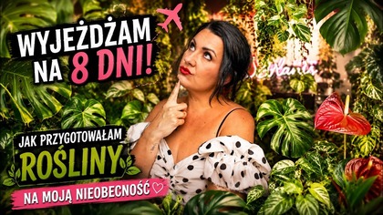 8 DNI NIEOBECNOŚCI! JAK PRZYGOTOWAŁAM ROŚLINY?