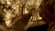 Wirus S04E03 720p