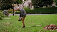 Pup Academy s03e04 dub pl