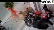 Natychmiastowa karma, sprawiedliwość - Kompilacja #17