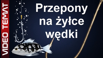 Przypony wędkarskie na żyłce - jak stosować przypony