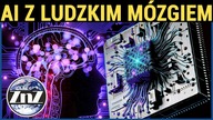 Nowy chipy AI, będzie opierać się na sztucznym ludzkim mózgu
