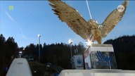 PŚ/TCS Bischofshofen 2025 - reklama transmisji