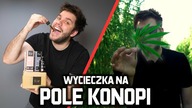 WSPÓLNIE SPRÓBUJMY KONOPI