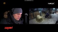 bandicam 2024-10-28 23-31-52-023