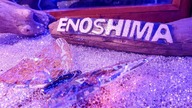 Valentines day in Japan - Enoshima Island Illumination