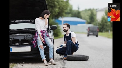 tresowany mężczyzna kobiety które robią piekło mężczyzn autorka serii sp.  alić