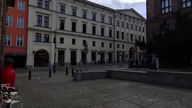 Hotel Bazar symbol pracy organicznej - dr Piotr Napierała