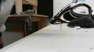 Mythbusters. S01E01.pl. Lodowy. pocisk
