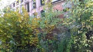URBEX ŁÓDŹ FABRYKA GROHMANA