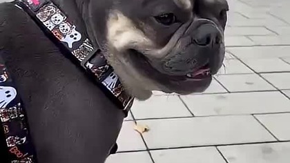 Z wycieczką w Koninie.