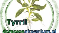 300l - Akwarium biotopowe.  Leśna zatoczka w pobliżu Barcelos, dopływy Rio Negro w Brazylii.