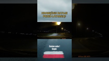 Krawężnik uratował przed latarnią?  Sekundy od tragedii! #wypadek #droga #kierowcy #szczescie