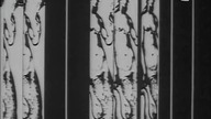 Spotkanie ze szpiegiem (1964)