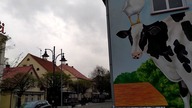 Smog w Niemczech i w Polsce