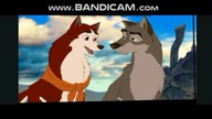 VIDEO Z FILMORY