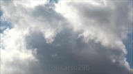W telewizji tego nie zobaczysz.