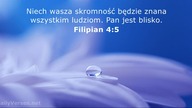 Janek Pajor - Róża Sarońska