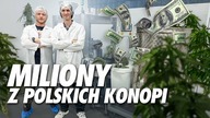 Zarabiają miliony na konopiach w Polsce! Zwiedzam Kombinat Konopny i odkrywam tajemnice ich sukcesu