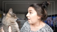 CO U NAS? VLOG | szarlot t :)