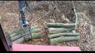 ULUBIONY SORTYMENT ZRYWKARZY || Belarus 820 i Palms || Okiem ZULa